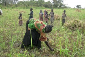 Angola: Dombe Grande recebe 144,8 milhões de dólares para reforço da agricultura familiar