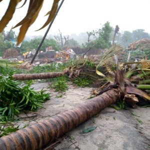 Moçambique: Vítimas mortais do ciclone Gombe em Nampula