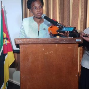 Moçambique: Governadora de Niassa não quer que o terrorismo se expanda para Mavago