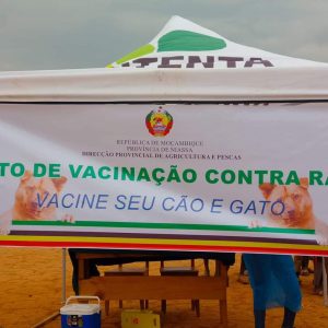 Moçambique: Niassa quer vacinar mais de 17 mil animais contra a raiva