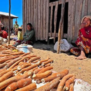 Madagáscar dá exemplo de resiliência e adaptação climática com apoio da ONU