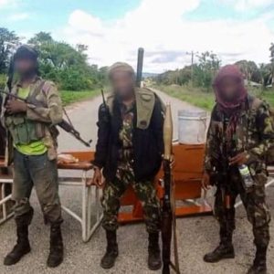 Moçambique: Dois terroristas abatidos após ataque a aldeia em Cabo Delgado