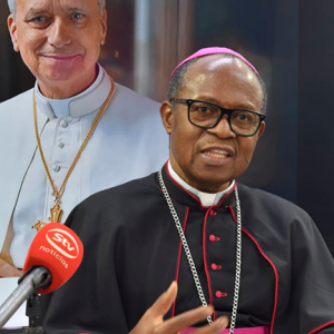 Moçambique: Arcebispo de Nampula lança “apelo de socorro” para restituição de terrenos da Igreja ocupados ilegalmente