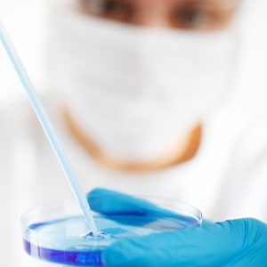 Cientistas criam óvulos a partir de células de pele e abrem nova esperança para casais inférteis e homossexuais